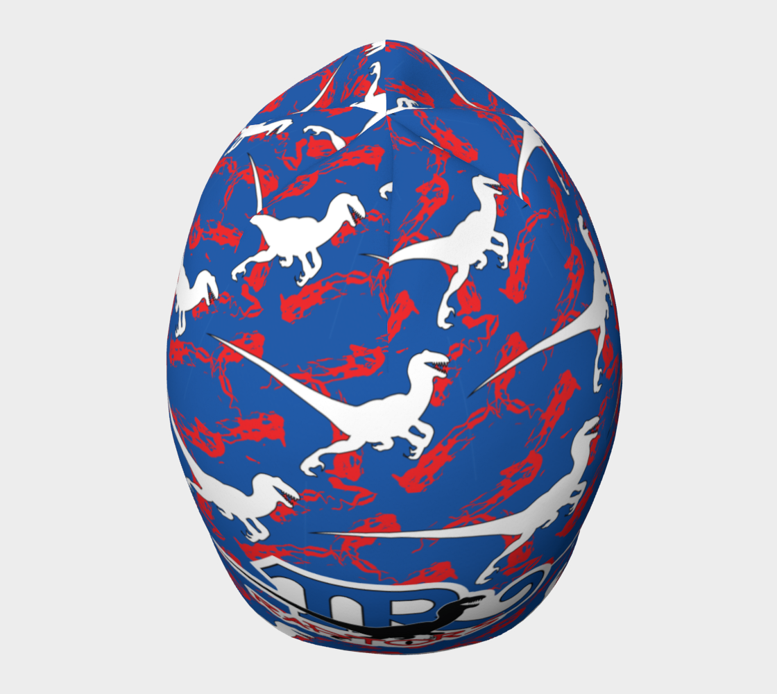 TR Raptors Patterned Beanie - Blue