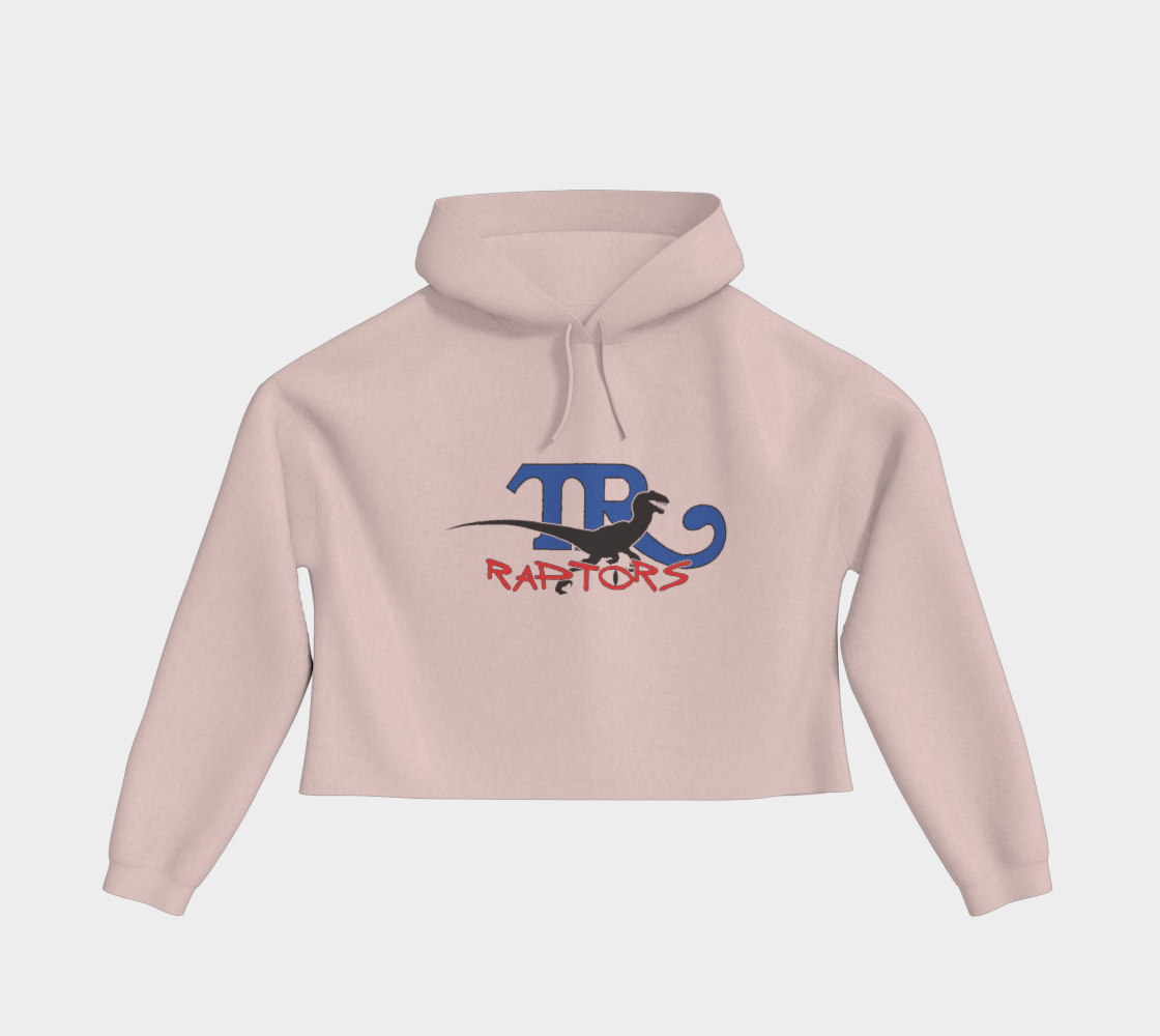 TR Raptors Plain Cropped Hoodie